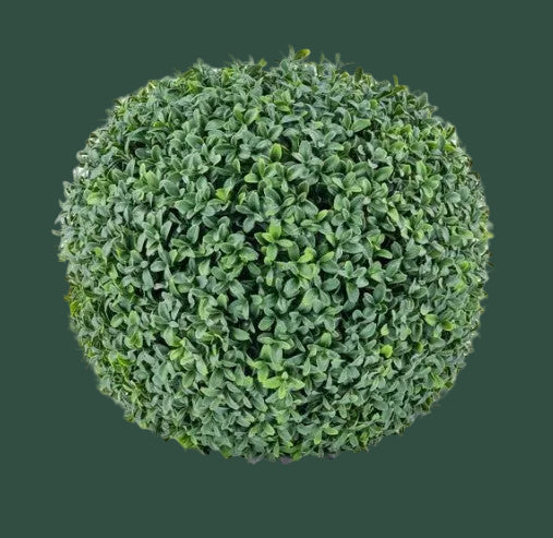 16" Boxwood Ball Topiary